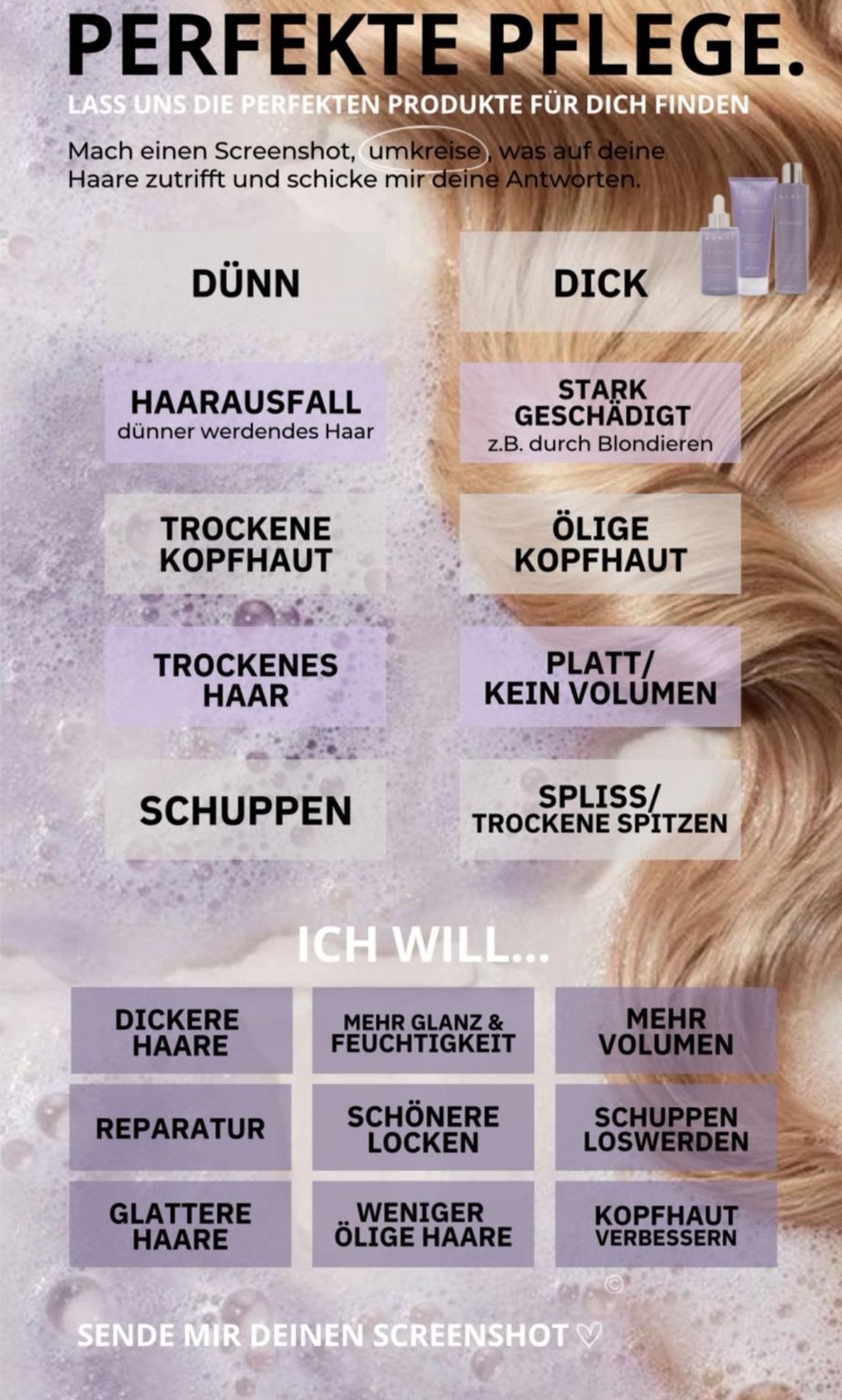 monat_Haarpflegeprodukte_Haarquiz